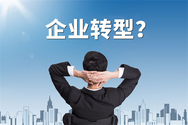 企業(yè)轉(zhuǎn)型無方向，數(shù)智化咨詢公司能否指引明路？