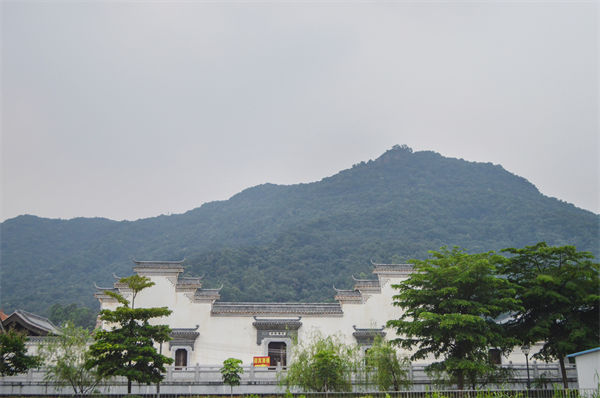 子公司各自為戰(zhàn)內(nèi)耗大，佛山集團(tuán)管控咨詢公司有何整合之道？